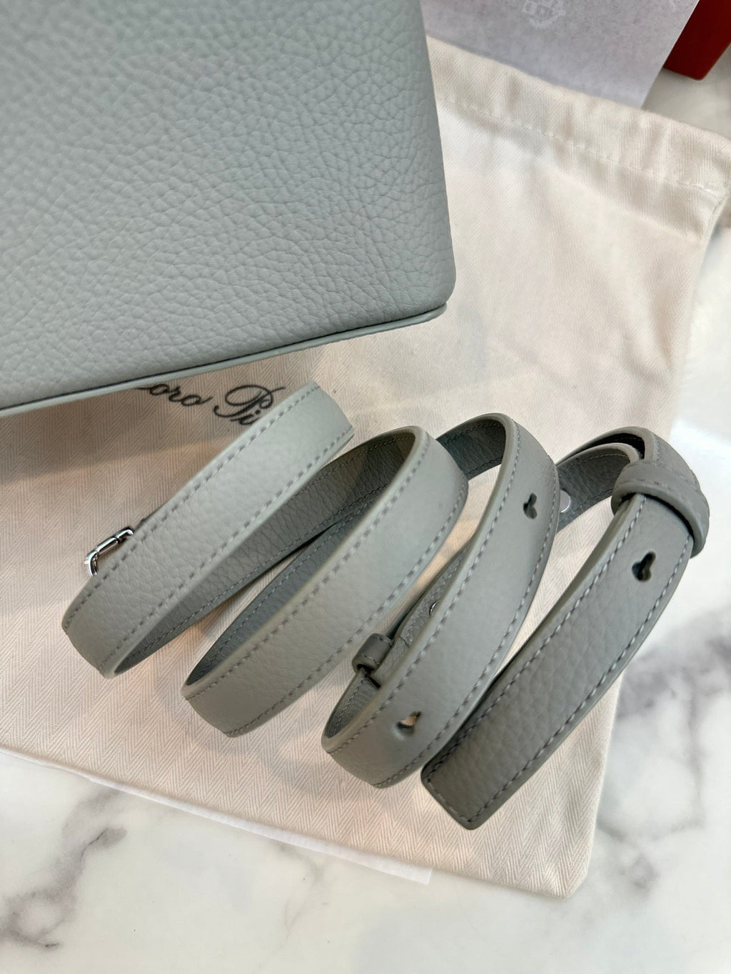 Bolso de cuero Saddle 19 Loro
