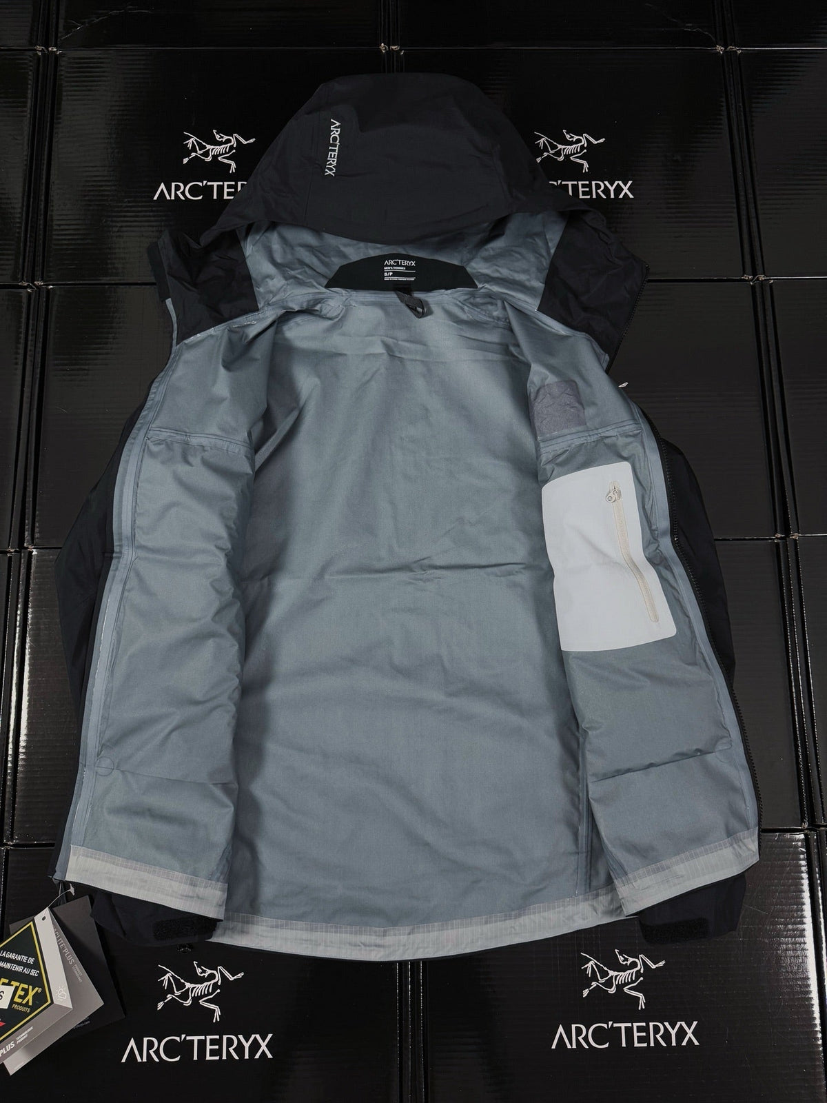 Chaqueta con capucha Beta Lightweight 2024