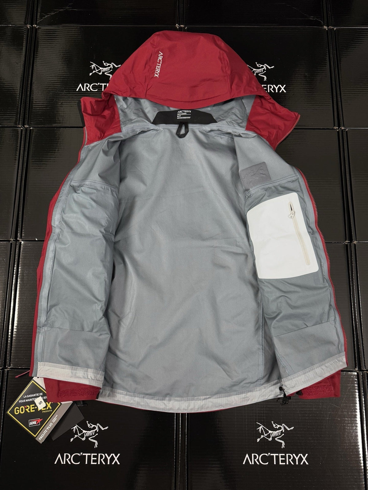Chaqueta con capucha Beta Lightweight 2024
