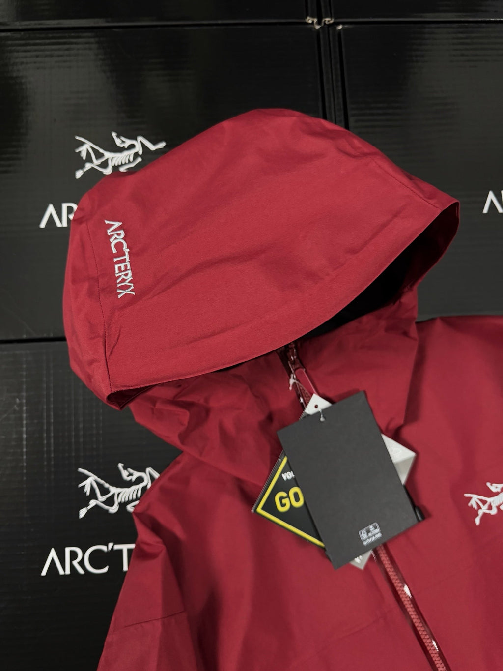 Chaqueta con capucha Beta Lightweight 2024