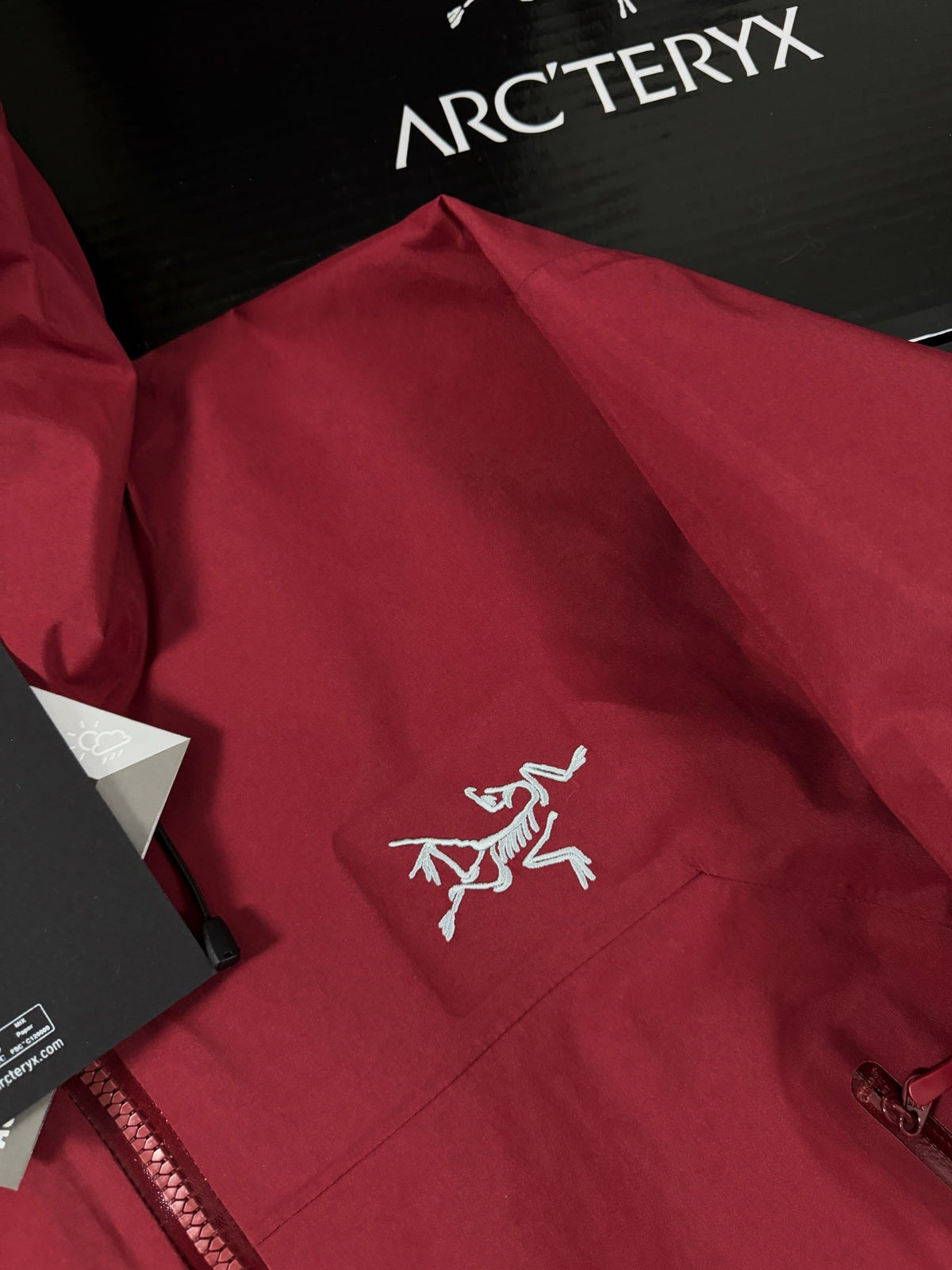Chaqueta con capucha Beta Lightweight 2024
