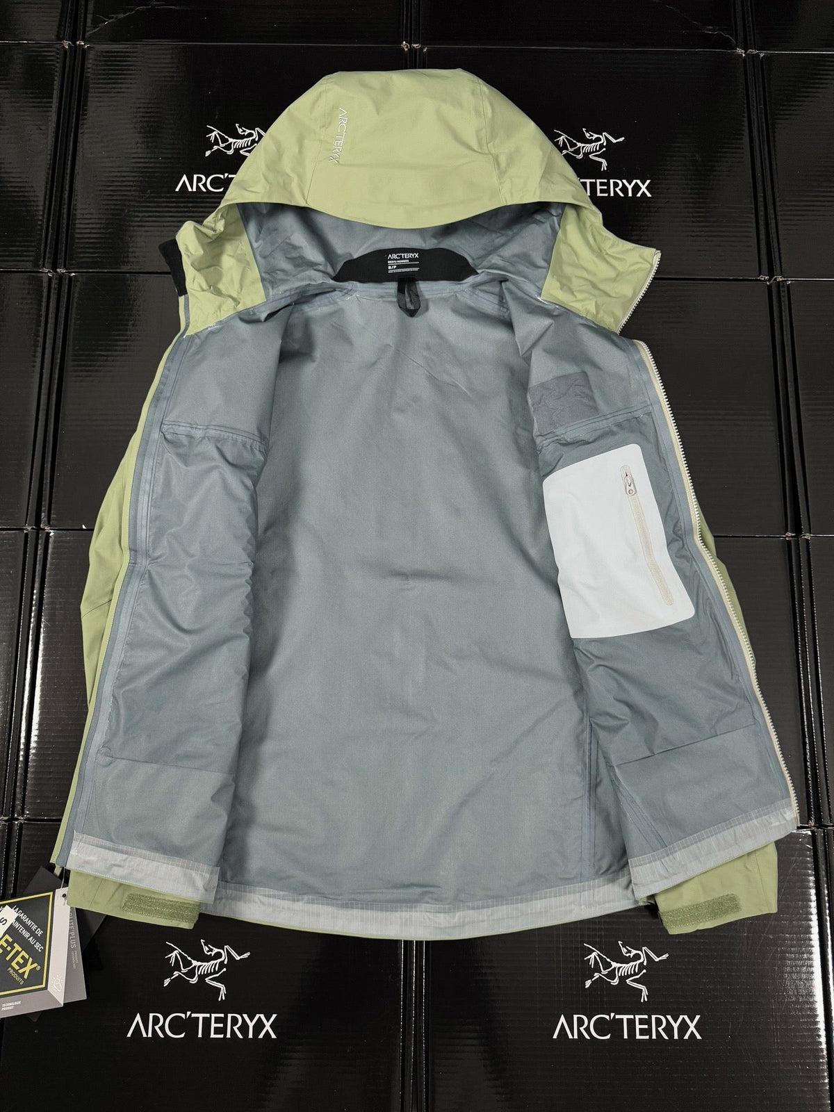Chaqueta con capucha Beta Lightweight 2024